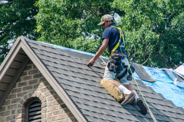 Best Local Roofing Companies  in Lake Stickney, WA